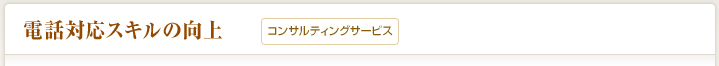 電話対応スキルの向上(コンサルティング)